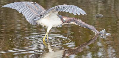 46: BK256172-Website-2