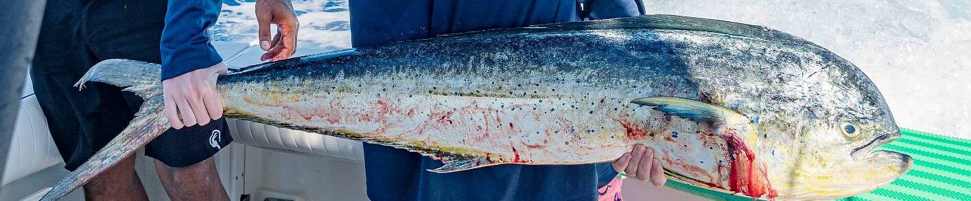 Click to show or hide the buttons